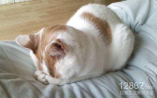 教你如何防止抽烟带来的危害