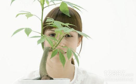 嘴破太久可能是癌症征兆！不能忽视的身体警讯