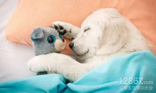 熬夜后如何保健养生？实用调理妙招