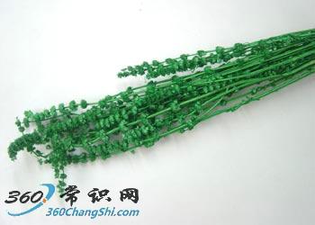 麥粒腫怎麼辦？專業治療與家庭小偏方全解析