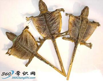 蛤蚧治療肺結核偏方與用法