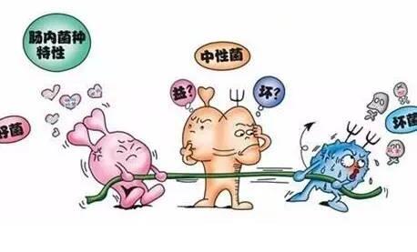 為什麼有些人吃不胖?瘦子吃不胖的四大原因