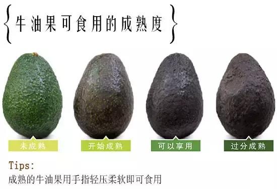 牛油果怎麼吃？教你做好吃的12款經典吃法