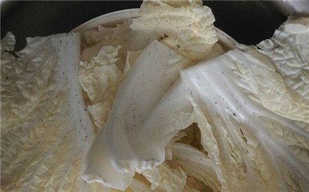 大白菜有黑點還能吃嗎？專家教你挑選與保存技巧