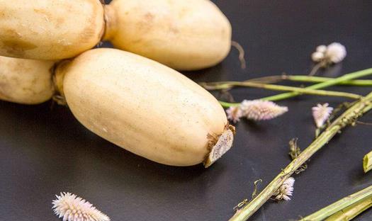 秋季降火必看:5种蔬菜推荐及饮食注意事项