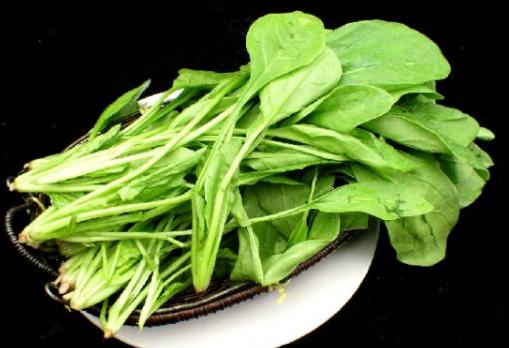 菠菜可以生吃嗎？解析草酸影響與正確食用方法