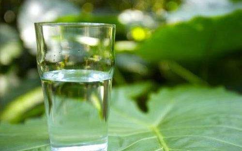 在水中加入這些食材，為健康加倍