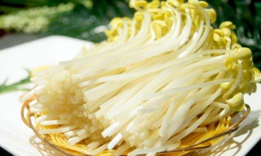 早春季節養生:黃豆芽為您帶來的健康好處