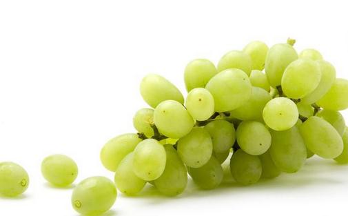 體驗營養師推薦：6大部位抗衰老食物全盤點
