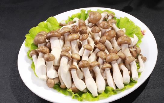 鲜味能否增进食欲？科学解析美味与食量的关系