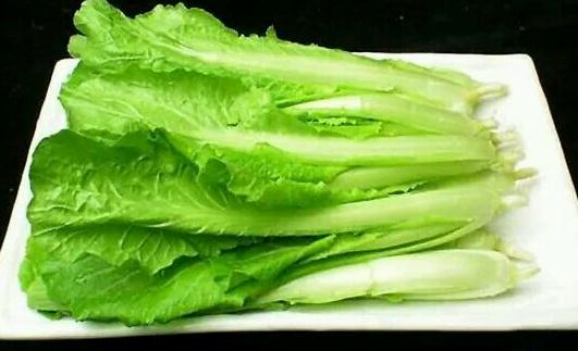 白菜心到底有没有农药残留?