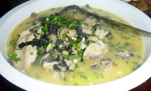 春季吃什麼魚最營養？適合春季食用的魚類推薦