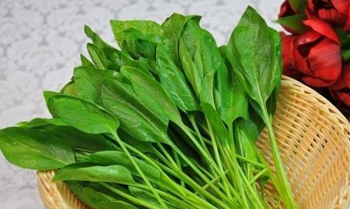 每天吃这8种食物 身体倍儿棒
