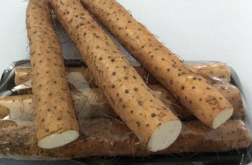 山藥進補九原則與六款養生佳餚推薦