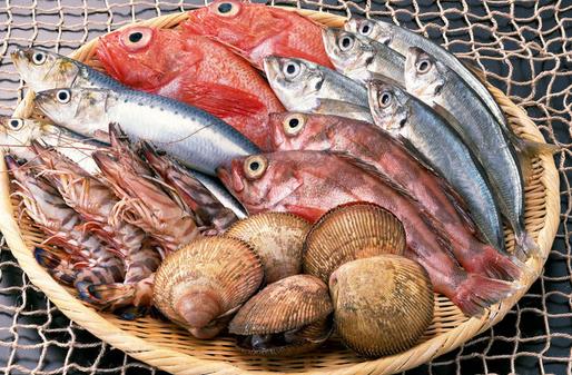 肉食滋補各不同：牛肉、羊肉、豬肉與雞肉的健康效益比較