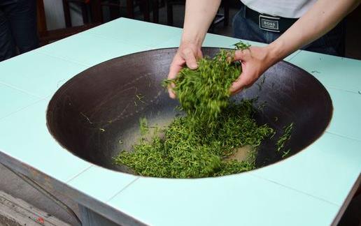 現炒茶需熟成10天再飲 避免「茶醉」與刺激胃腸