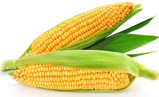 提升記憶力的16大食物推薦