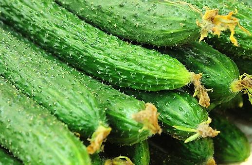 夏季美容护肤必看：10大美容食物推荐