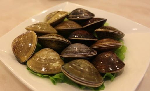 冬季必吃的4種海鮮|營養豐富與食用注意事項