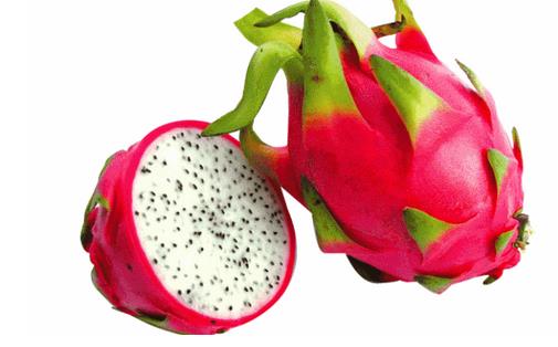 護眼必看!12種護眼食物推薦