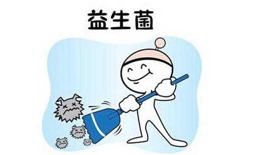 寶寶益生菌好處與選購指南