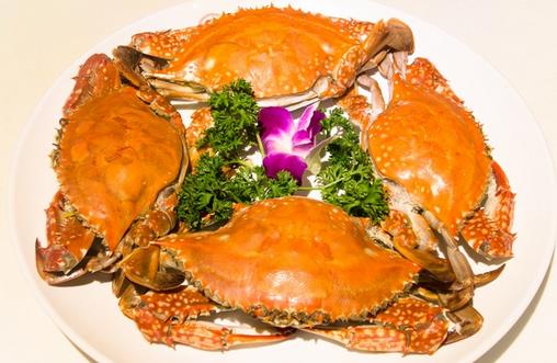 冬季吃海鮮指南:4款適宜海鮮與食用禁忌