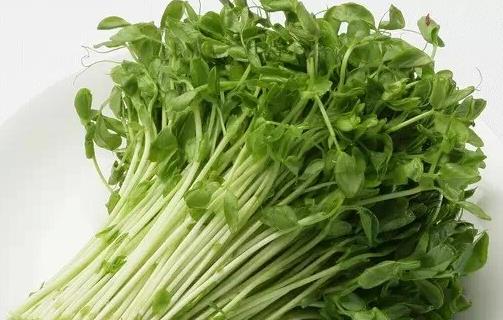 吃什麼瘦臉?十款食物幫你成就小V臙