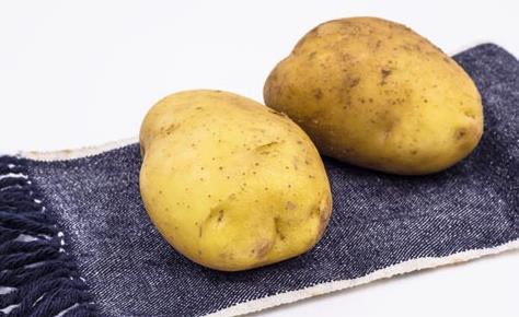 冬季養生9種根菜推薦 滋補脾胃度寒冬