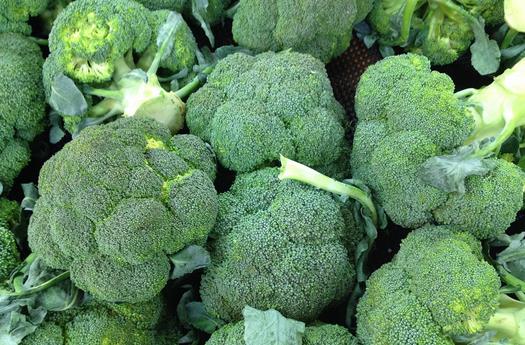 眼睛需要補充哪些營養素？8種關鍵食物推薦