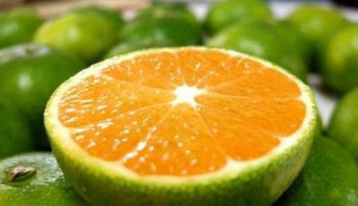 空腹能吃橘子吗？哪些食物不能空腹吃