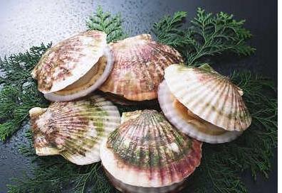容易引起過敏的10種食物