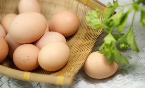 補腦食品大公開:雞蛋、核桃、芝麻、海帶、香蕉