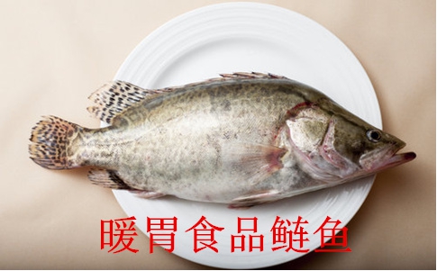 冬季暖胃食物大揭秘：8款健康美食盘点