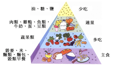 如何實現均衡飲食?七大原則與實踐指南