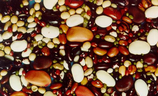 奶類與豆類的營養好處:促進成長與補鈣益處
