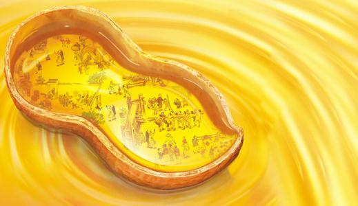 多種食用油用途大解析:哪種適合您的心血管與肌膚健康