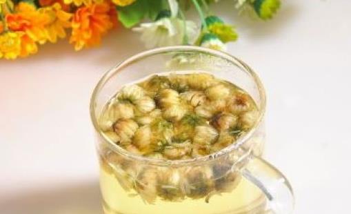 菊花茶正確飲用指南:適合人群與禁忌解析