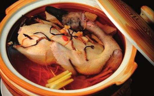 進補要分清補什麼:辨別陰虛與陽虧的養生之道