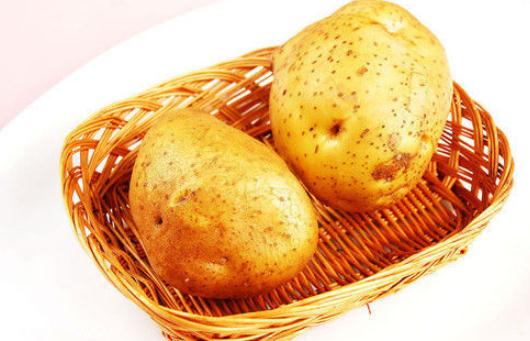 冬季滋補食譜：溫暖一整冬的實用指南