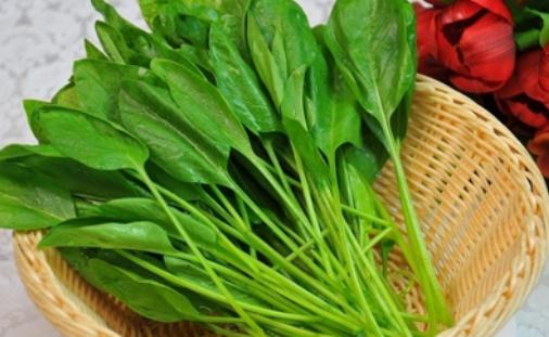 增強免疫力的食物推薦:紫薯、紫洋蔥等實用選擇