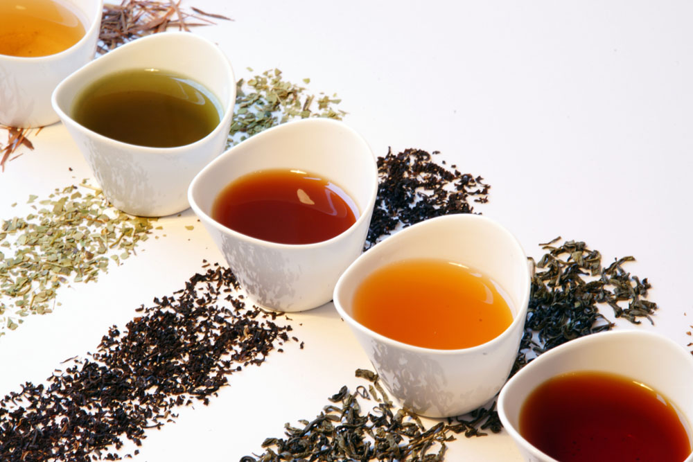 白茶抑菌抗輻射 黃茶人人皆宜