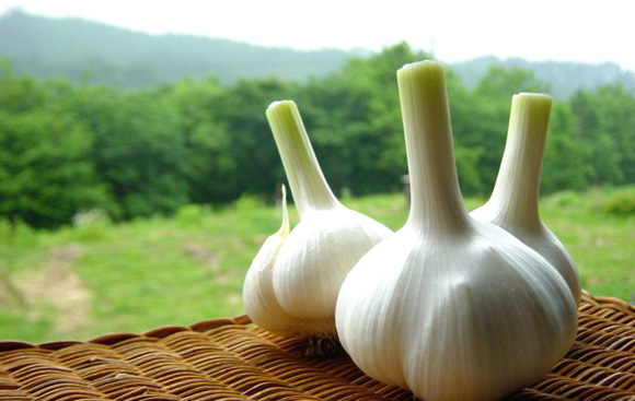 大自然的防胃癌食材盘点：蒜、洋葱、菌菇等
