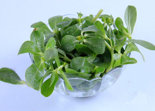 健康吃凉拌菜：必加抗菌菜与清洗技巧