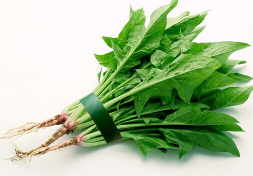 吃菠菜可降低結腸癌風險