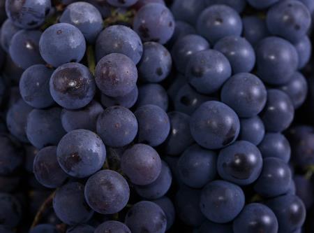 晚上吃葡萄會發胖嗎？正確食用葡萄不會長胖