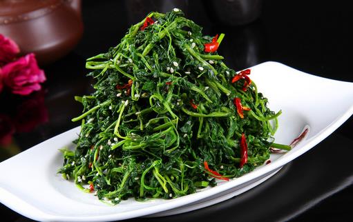 春季吃野菜的注意事項:功效、做法與安全指南