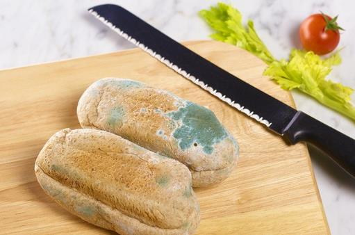 食物發霉了怎麼辦？完整介紹防止食物發霉變質的方法