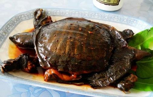 女人吃什么滋阴补阴?四大滋阴补腎的食物