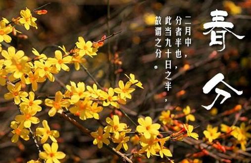 春分養生必看:時令菜選擇與健康飲食習慣