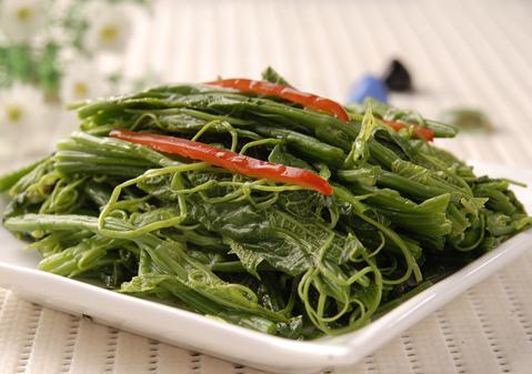 春季食物中毒預防指南:避免誤食毒素的關鍵知識